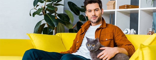 zalety-posiadania-kota_1623325775206.jpeg