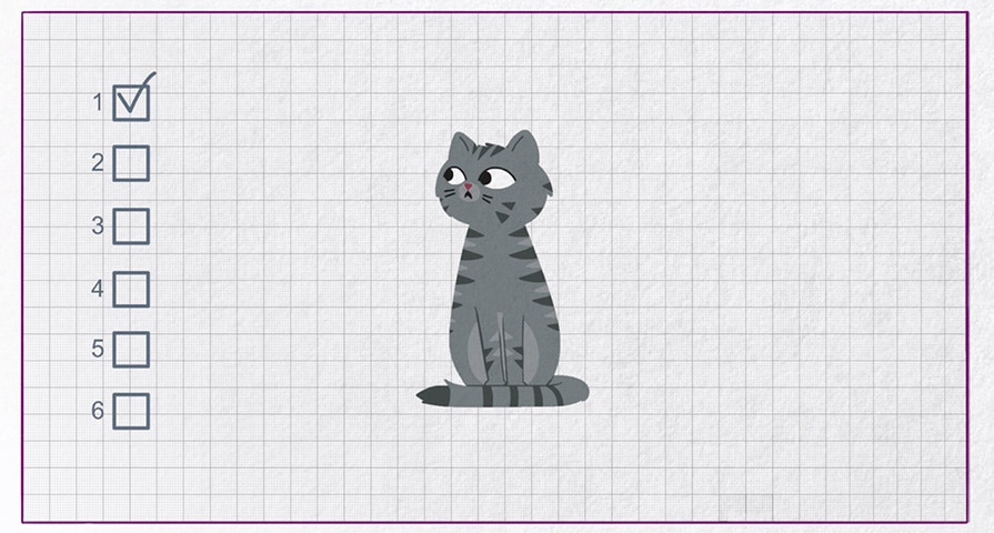 Pielęgnacja kota - jak dbać o sierść kota?