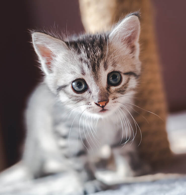 Zdrowie i pielęgnacja