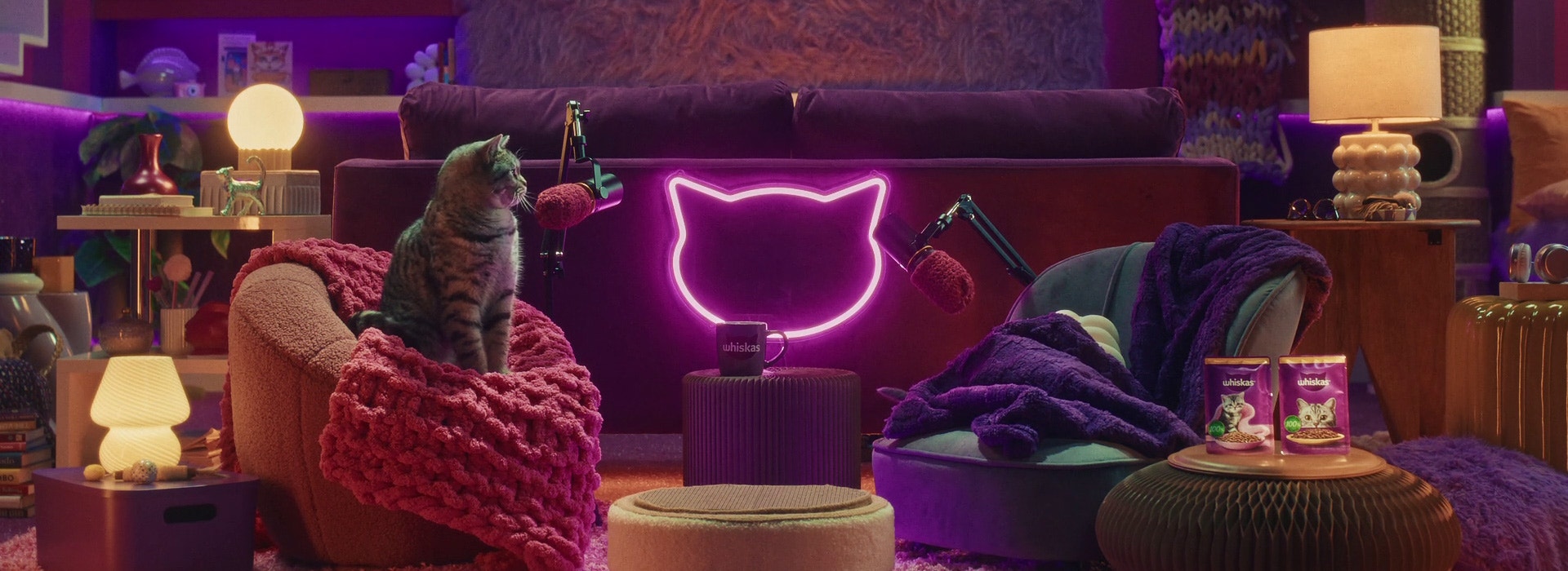 Jak przedstawić mojemu kotu nowego kociaka?