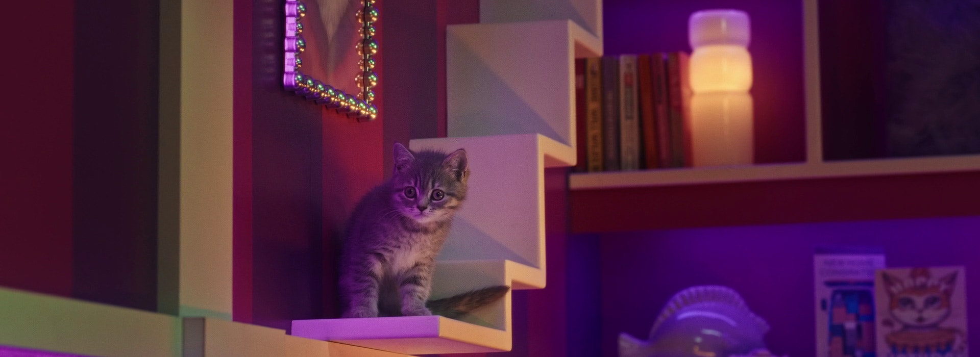 Jak się bawić z kotem, aby był szczęśliwy i zadowolony?