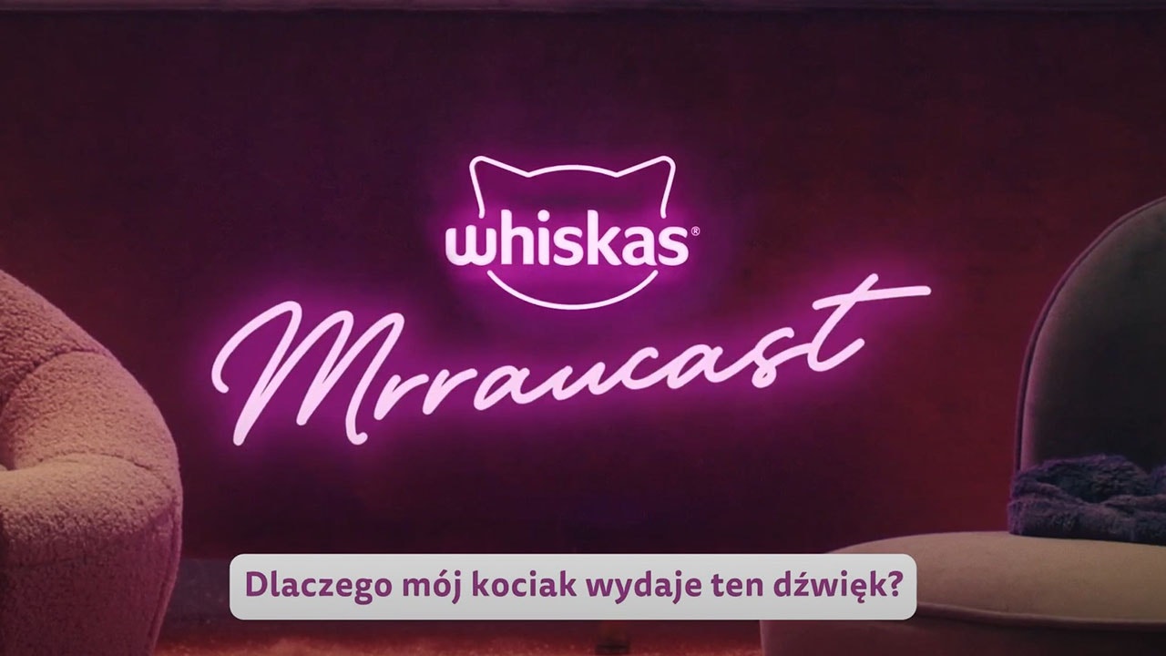 Mruczenie i kocie nawoływania