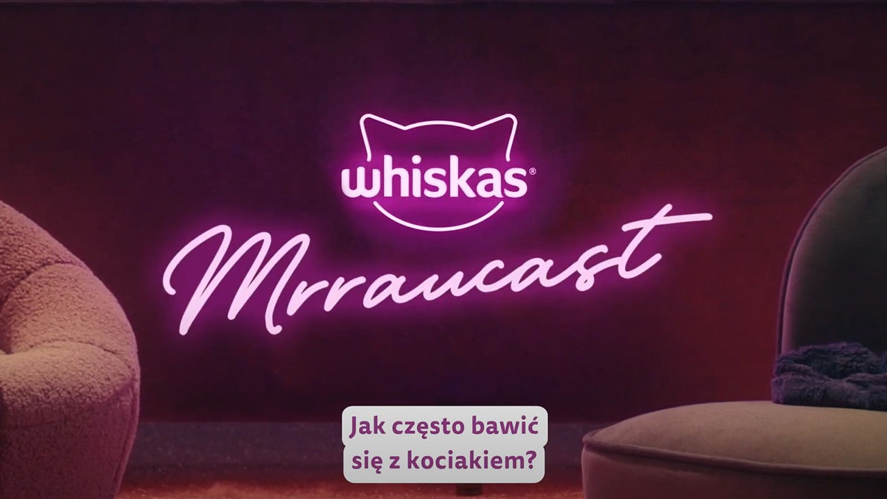 Jak się bawić z kotem, aby był szczęśliwy i zadowolony?