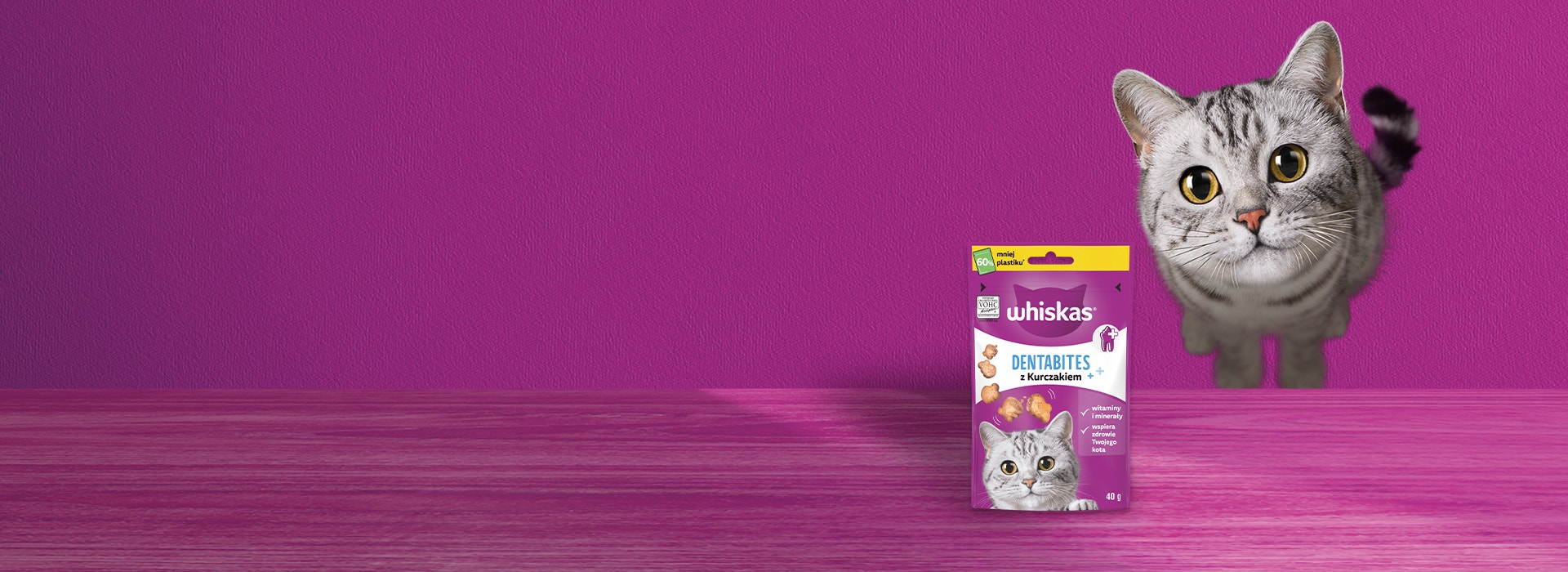 dentabites hero desktop