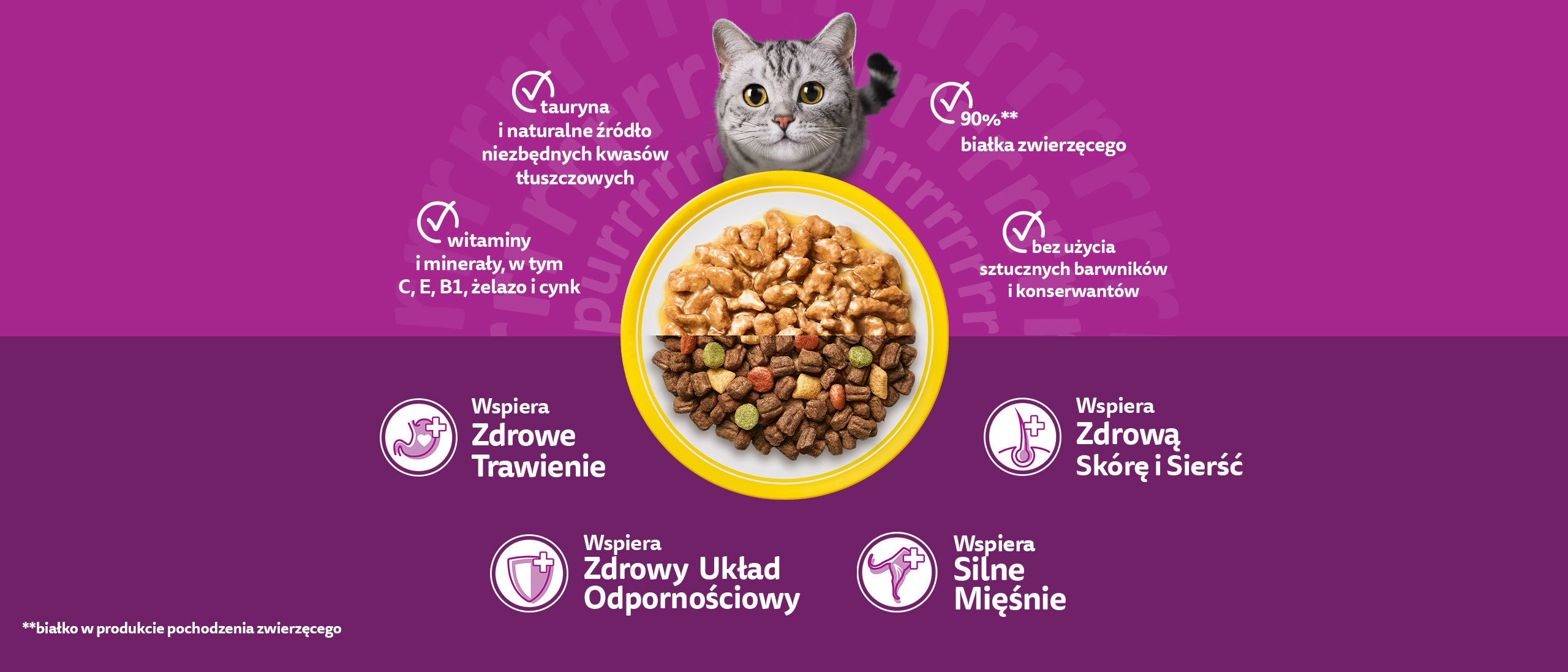 Dla kotów 1+ banner