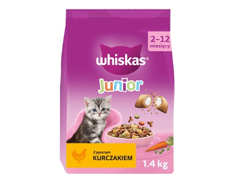 kitten products