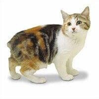 Manx