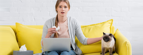 Jakie koty dla alergików?