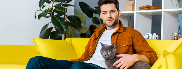 Zalety posiadania kota – to przekona każdego sceptyka!